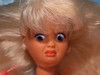 Wanderbarbie
