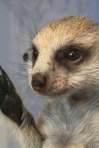 亞柒 Dormy Inn飯店-倉敷天然溫泉優惠