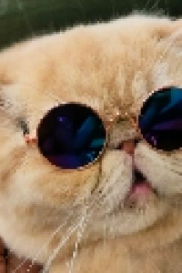 k chan freefai 八丁の湯 クーポン