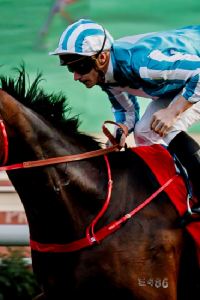 怪人丟 榛名湖温泉ゆうすげ クーポン