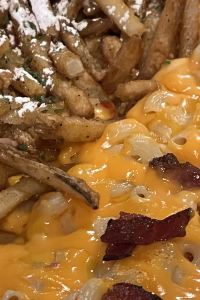 콤포 타마라 제주 쿠폰