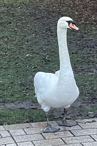 LonelyRambler 水晶酒店優惠