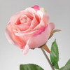 TheRose2008