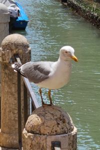 Alan life 捷絲旅（宜蘭礁溪館）優惠