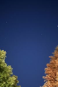 candy75 グリーンリッチホテル広島新幹線口 クーポン