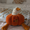 Blasmi