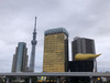 Ayu USA