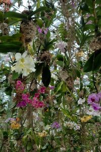 fatommy 上高地ルミエスタホテル クーポン