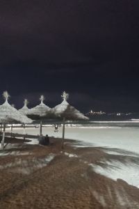 김기뮉디