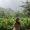Wanderlog