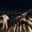 Alex_younan