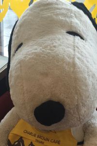 Bebeka 深圳灣海尚酒店優惠