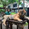 Shawan