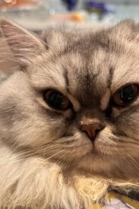 A.So 廣州馬會酒店優惠