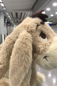 訪客 基斯塔洞穴酒店優惠