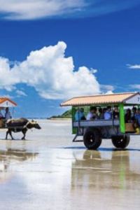 spase135 石切温泉　ホテルセイリュウ クーポン