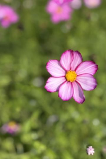 Mearia Lung 宜蘭蘭城晶英酒店優惠