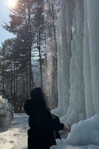 세계일주여행자