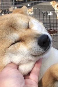 Andrewng 肯辛頓公園酒店優惠