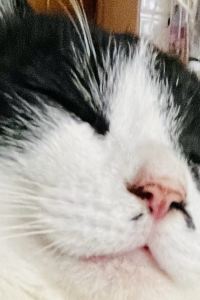 April Rainbow 延韋公寓酒店優惠