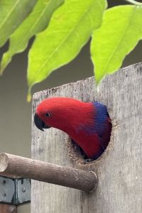 muffyn71 雅樂軒埃爾塞貢多飯店 - 洛杉磯機場優惠