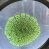 Avatar 3