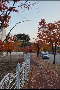 訪客 香港一龍酒店優惠