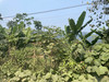SHOvietnam