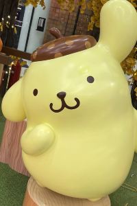 布小姐