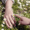 FE_LICE