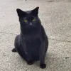 Avatar 3