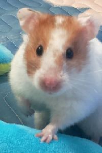 婉筠（兔兔） 澎湖快樂民宿優惠