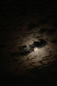 Kying98 英京飯店優惠