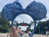 disney_fan