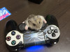 ブレ