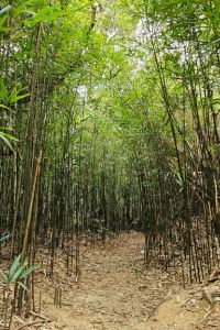 RiCEs 佛山嶺南天地馬哥孛羅酒店優惠