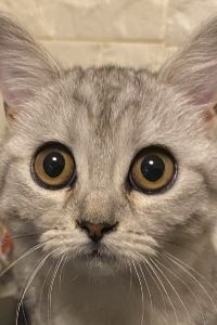 Deepvice 北寧曼德拉水療酒店優惠