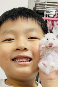 CocoTang 塘廈三正半山温泉酒店優惠