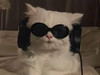 BABABIBIBOBO