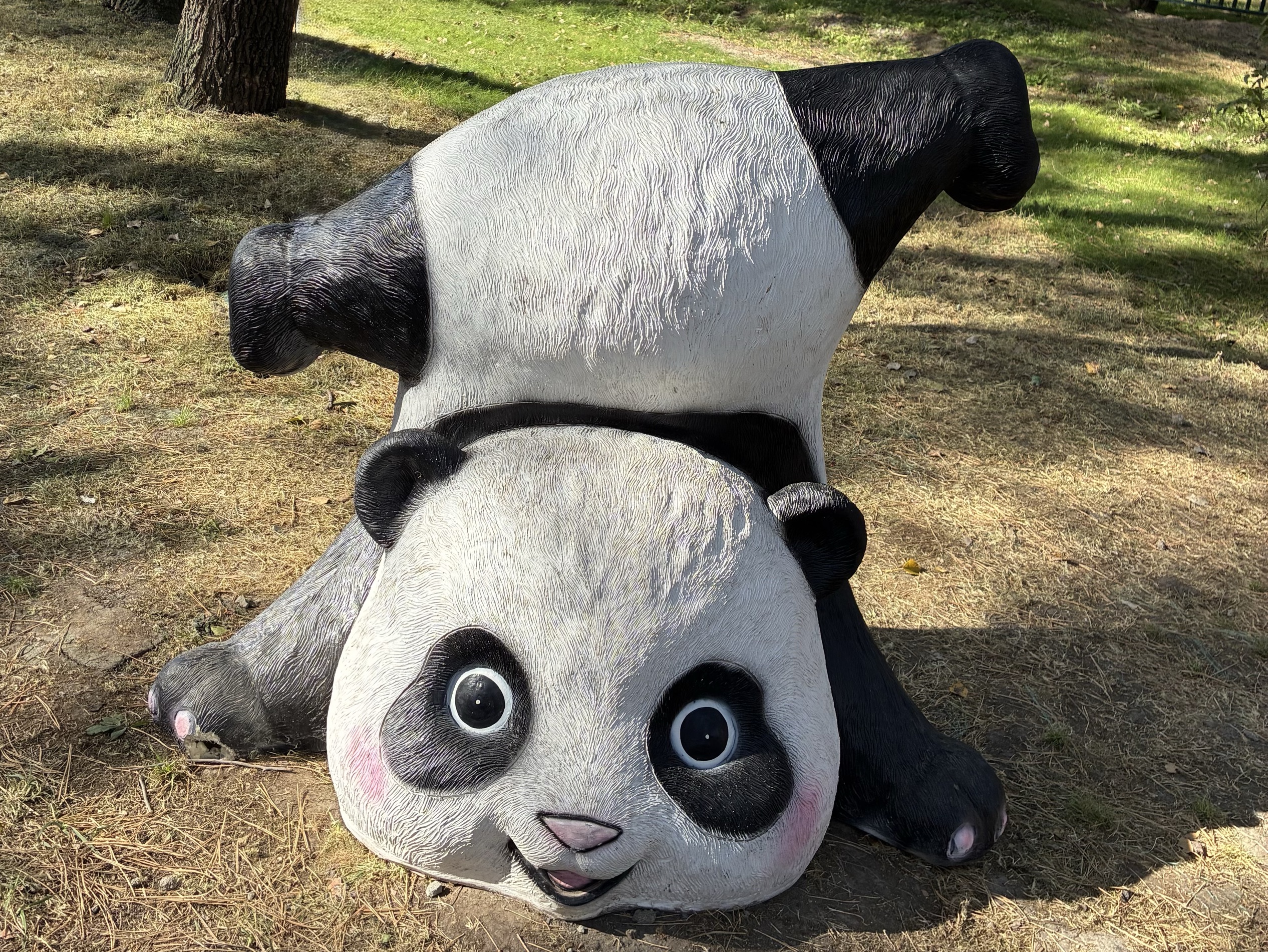 LIn_Ai