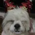 น้องไวท์พาเที่ยว