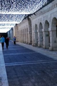 Mr. Alex2045 皇家之鷹飯店優惠