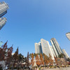 주니파파후니