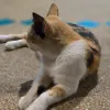 Avatar 3