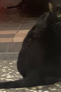 hamburger1688 花蓮七星日出民宿優惠