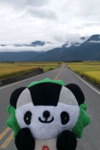 paul 青海白雲翔羚飯店優惠