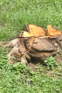 ゲスト アンドホステル蔵前ウエスト クーポン