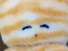 Komochi