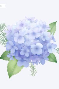 ACNM 城崎山本屋 クーポン