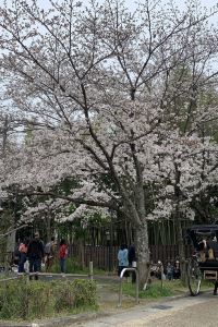 SSS蘇 吉隆坡JW萬豪酒店優惠